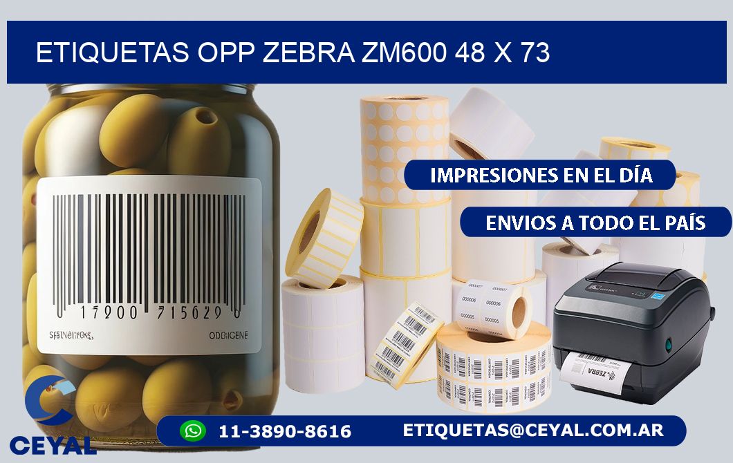 ETIQUETAS OPP ZEBRA ZM600 48 x 73