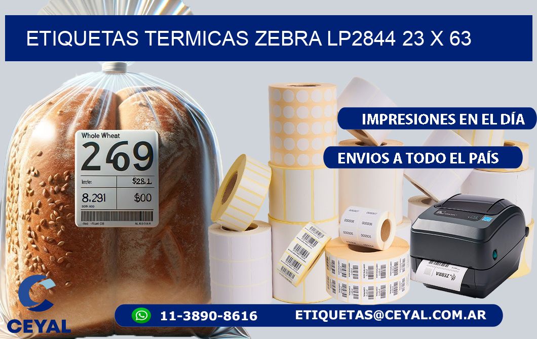 ETIQUETAS TERMICAS ZEBRA LP2844 23 x 63