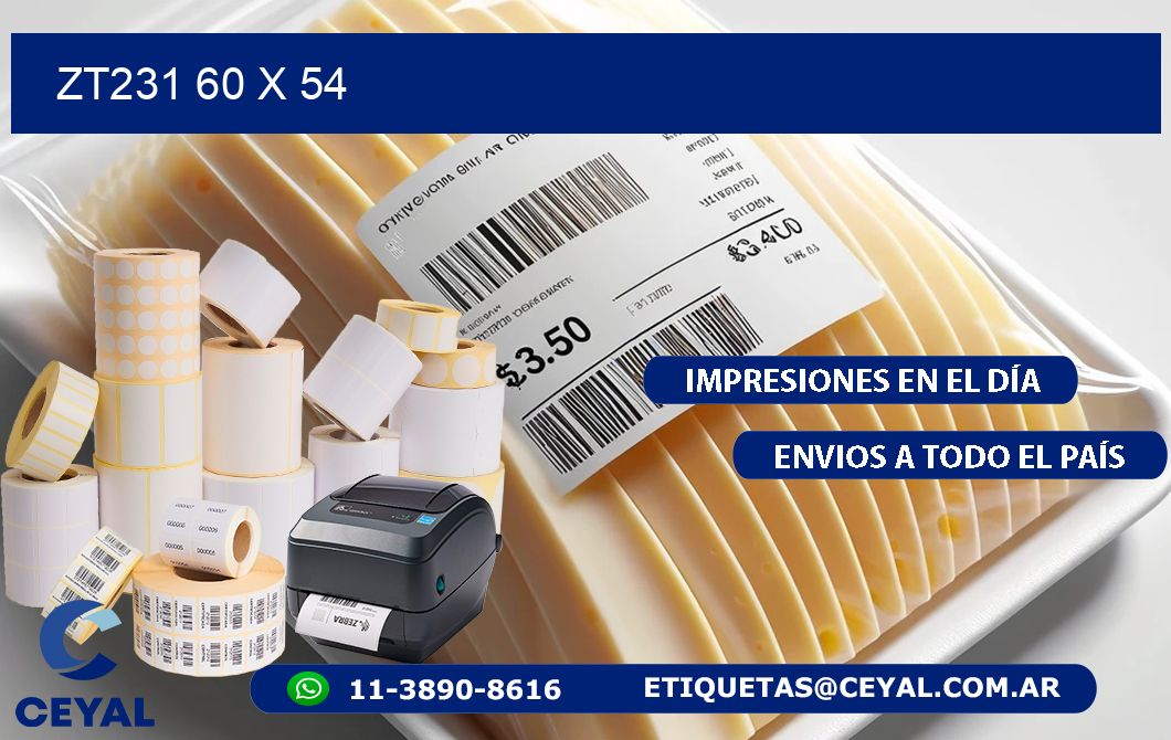 ZT231 60 x 54