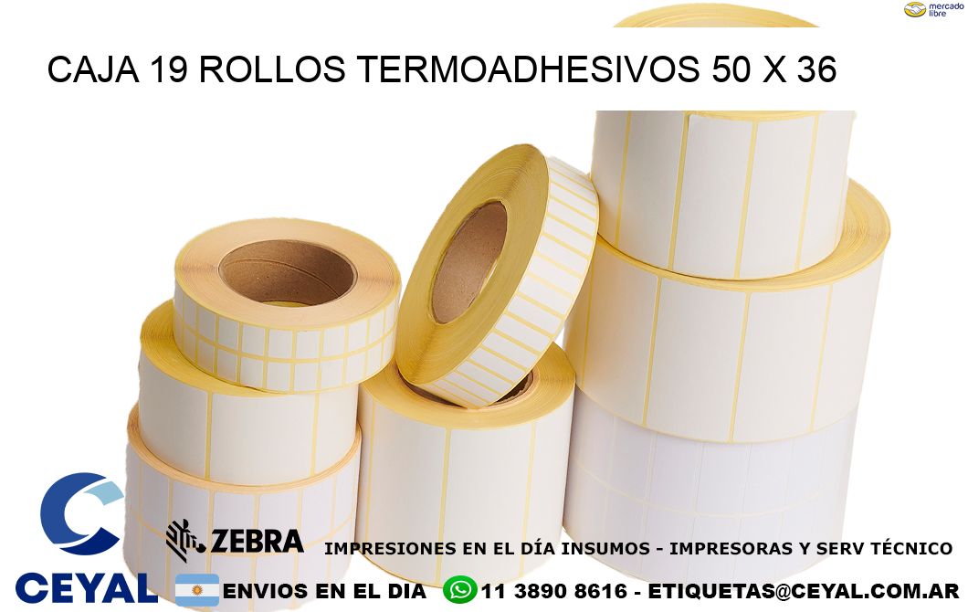 CAJA 19 ROLLOS TERMOADHESIVOS 50 x 36