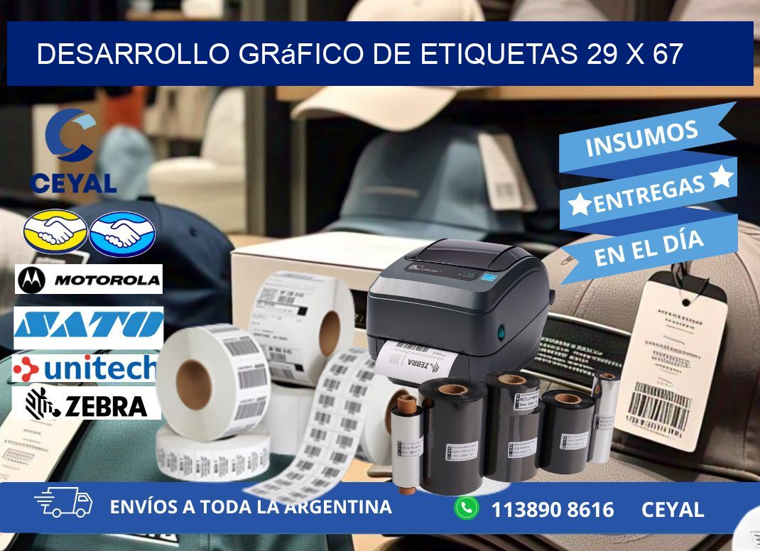 Desarrollo gráfico de etiquetas 29 x 67