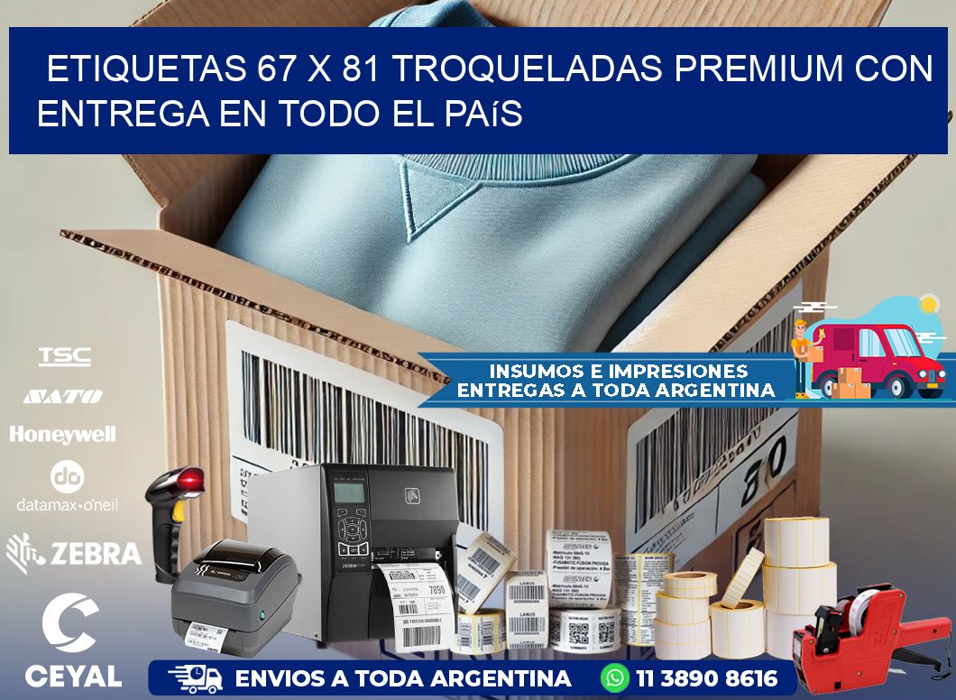 Etiquetas 67 x 81 troqueladas premium con entrega en todo el país