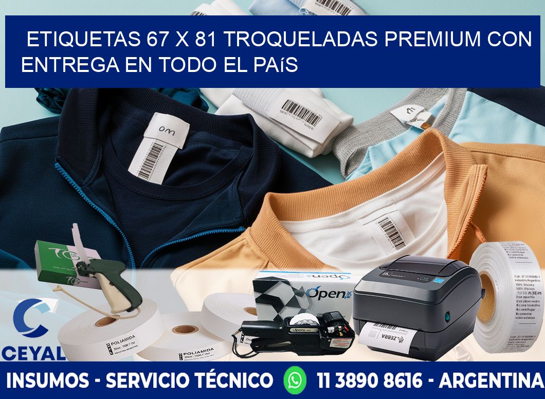 Etiquetas 67 x 81 troqueladas premium con entrega en todo el país