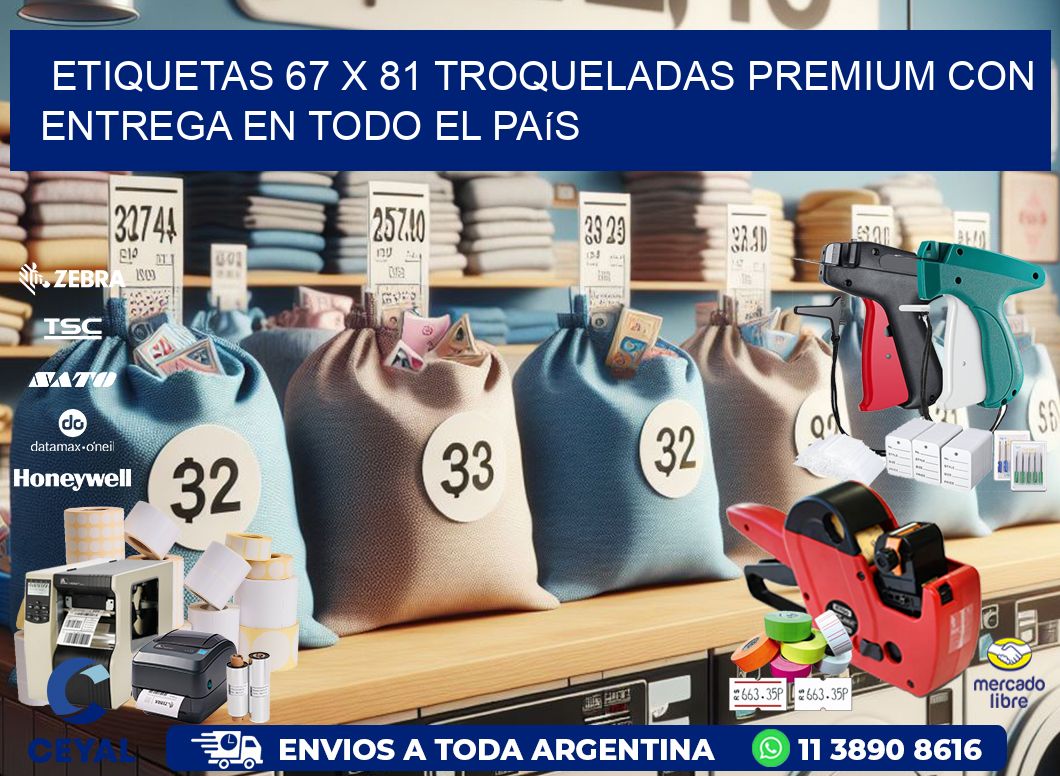 Etiquetas 67 x 81 troqueladas premium con entrega en todo el país