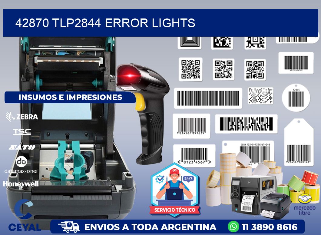 42870 TLP2844 error lights