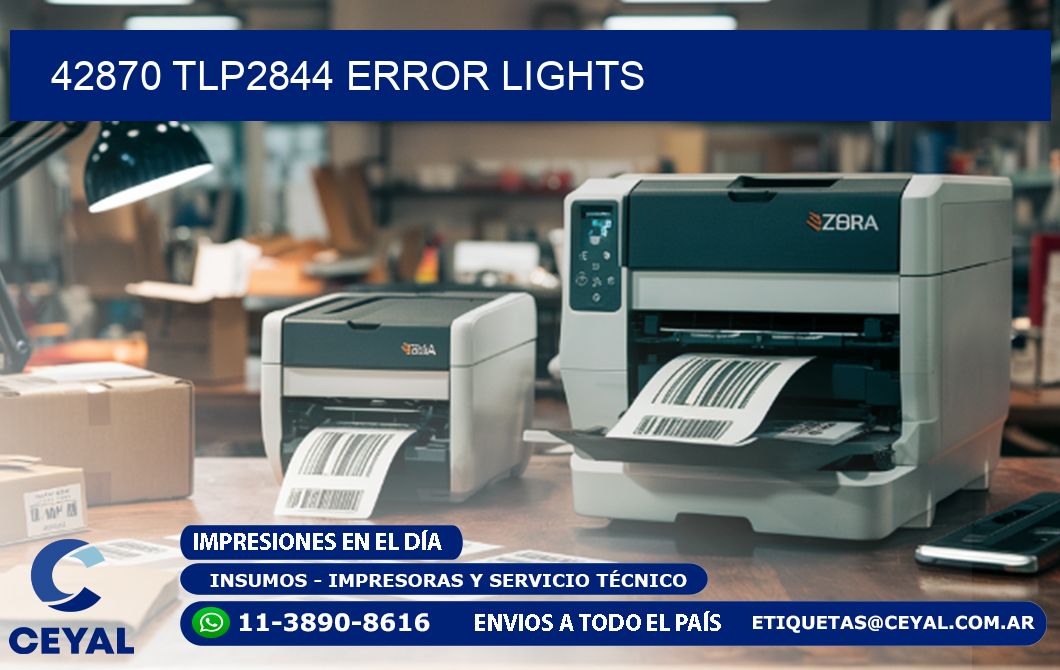 42870 TLP2844 error lights
