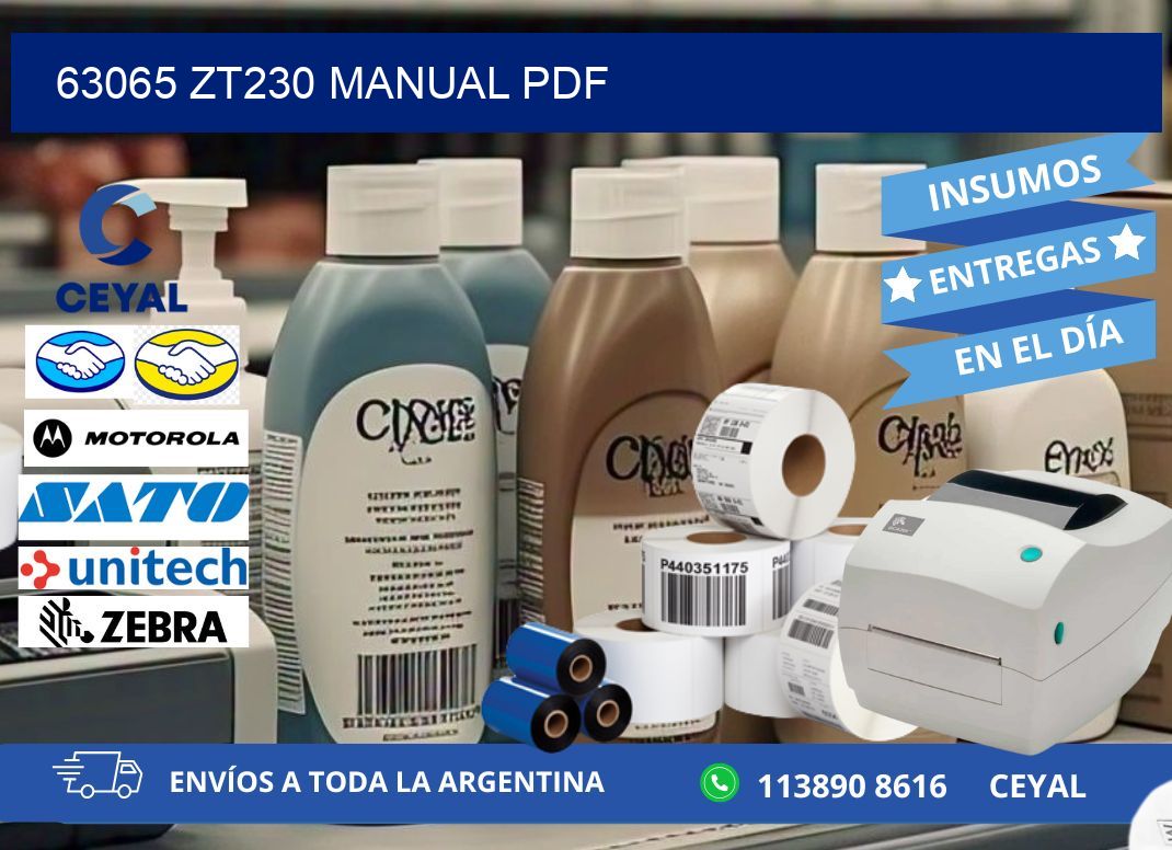 63065 ZT230 manual PDF