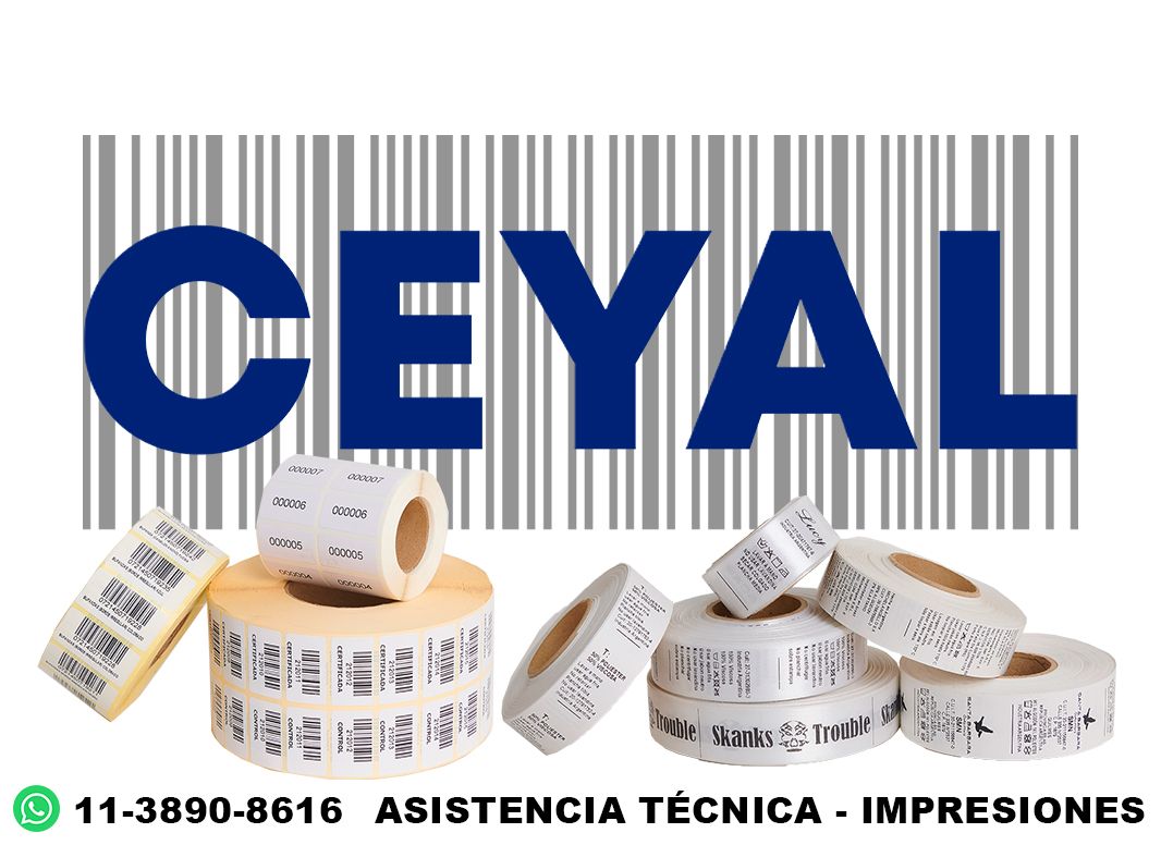95815 Impresora térmica textil