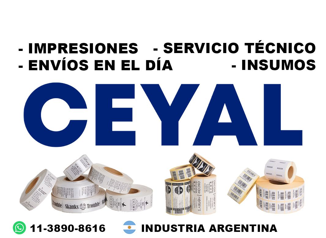 95815 Impresora térmica textil