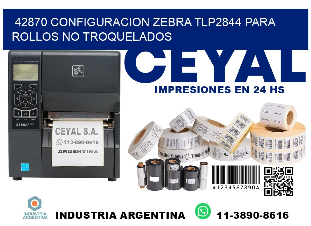 42870 configuracion zebra tlp2844 para rollos no troquelados