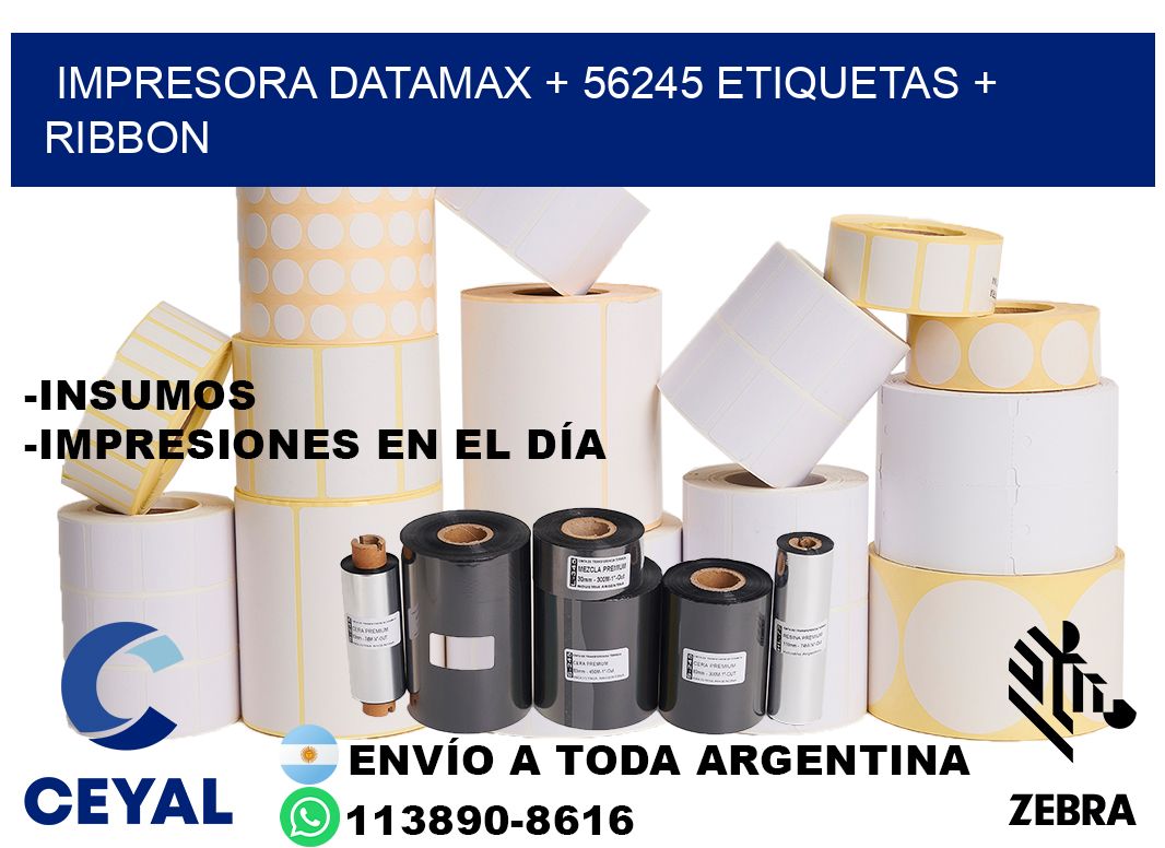 impresora DATAMAX + 56245 etiquetas + ribbon
