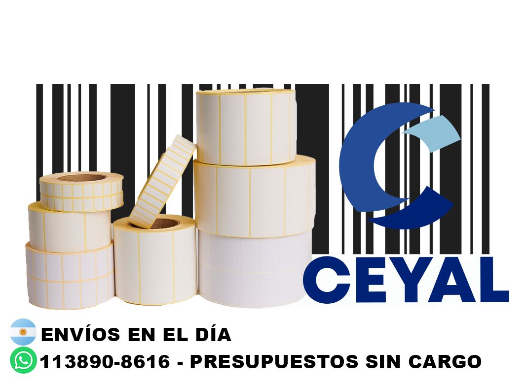 impresora DATAMAX + 56245 etiquetas + ribbon