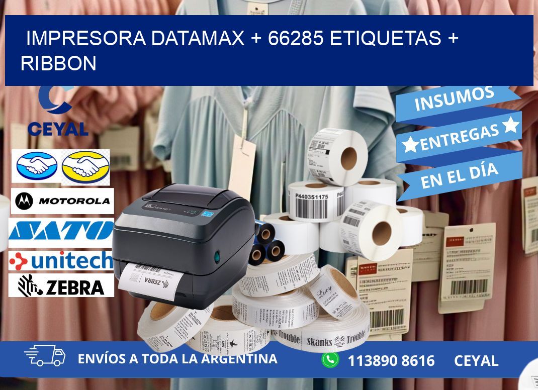 impresora DATAMAX + 66285 etiquetas + ribbon