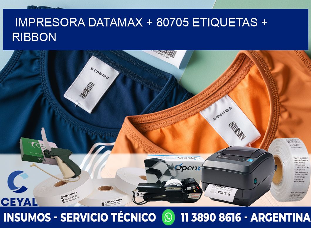 impresora DATAMAX + 80705 etiquetas + ribbon