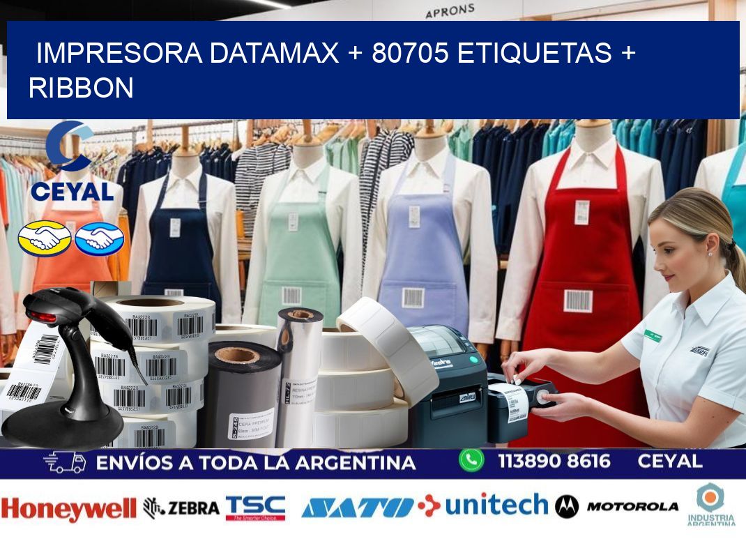 impresora DATAMAX + 80705 etiquetas + ribbon