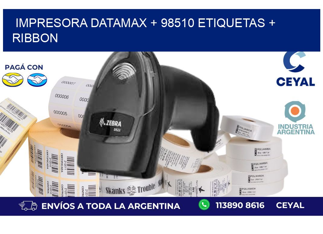 impresora DATAMAX + 98510 etiquetas + ribbon