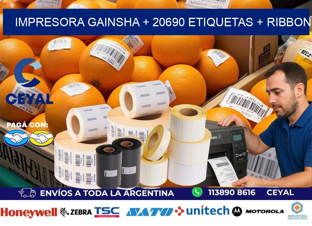 impresora gainsha + 20690 etiquetas + ribbon