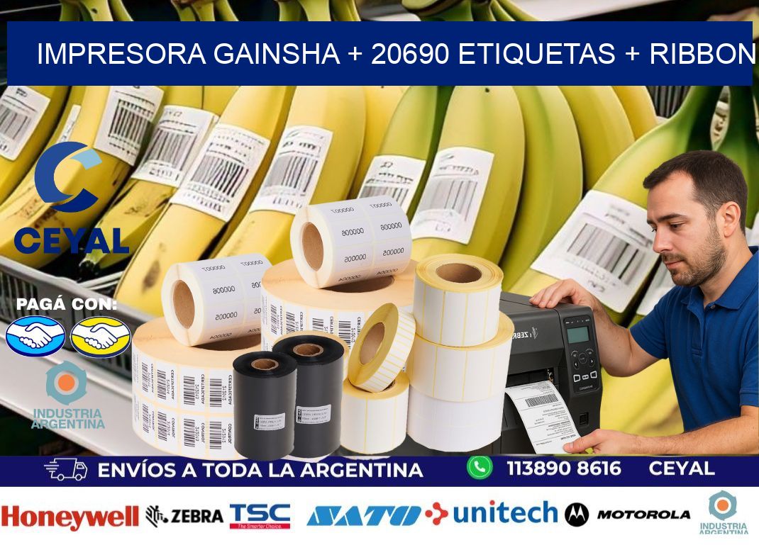 impresora gainsha + 20690 etiquetas + ribbon