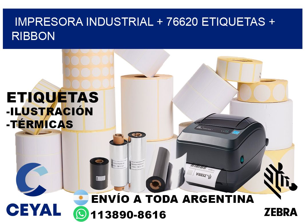 impresora industrial + 76620 etiquetas + ribbon