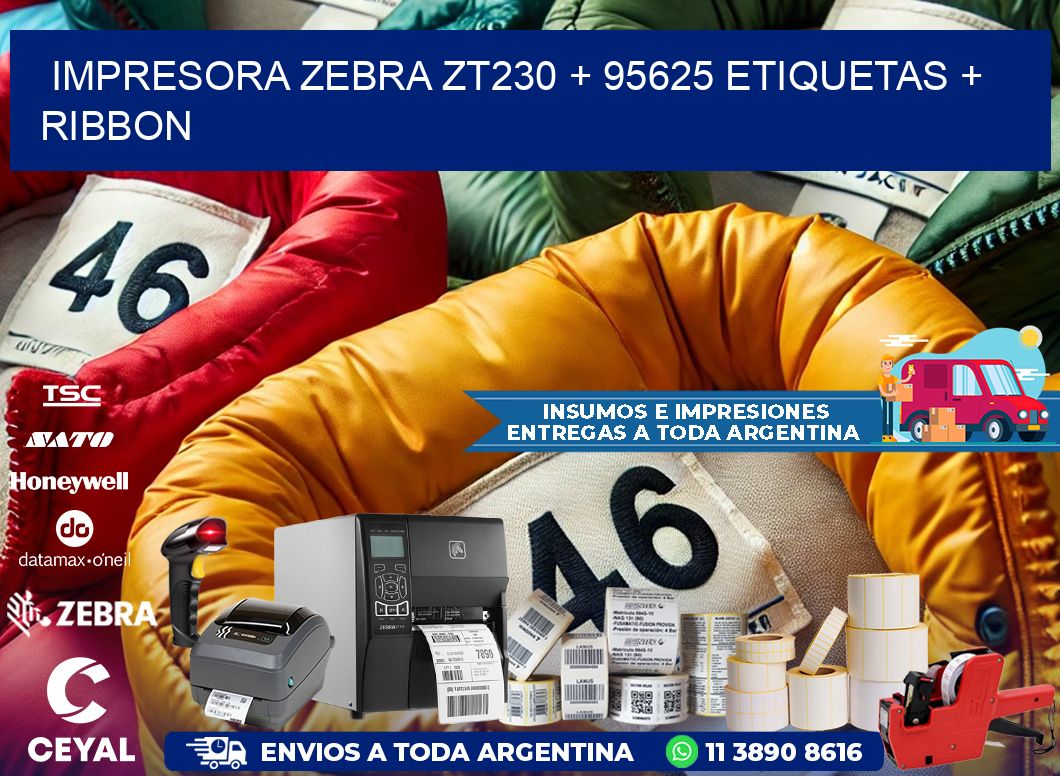 impresora zebra zt230 + 95625 etiquetas + ribbon