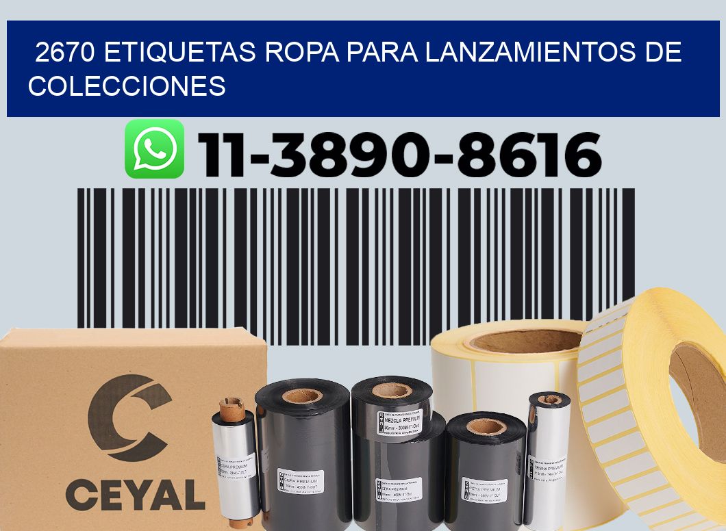 2670 Etiquetas ropa para lanzamientos de colecciones