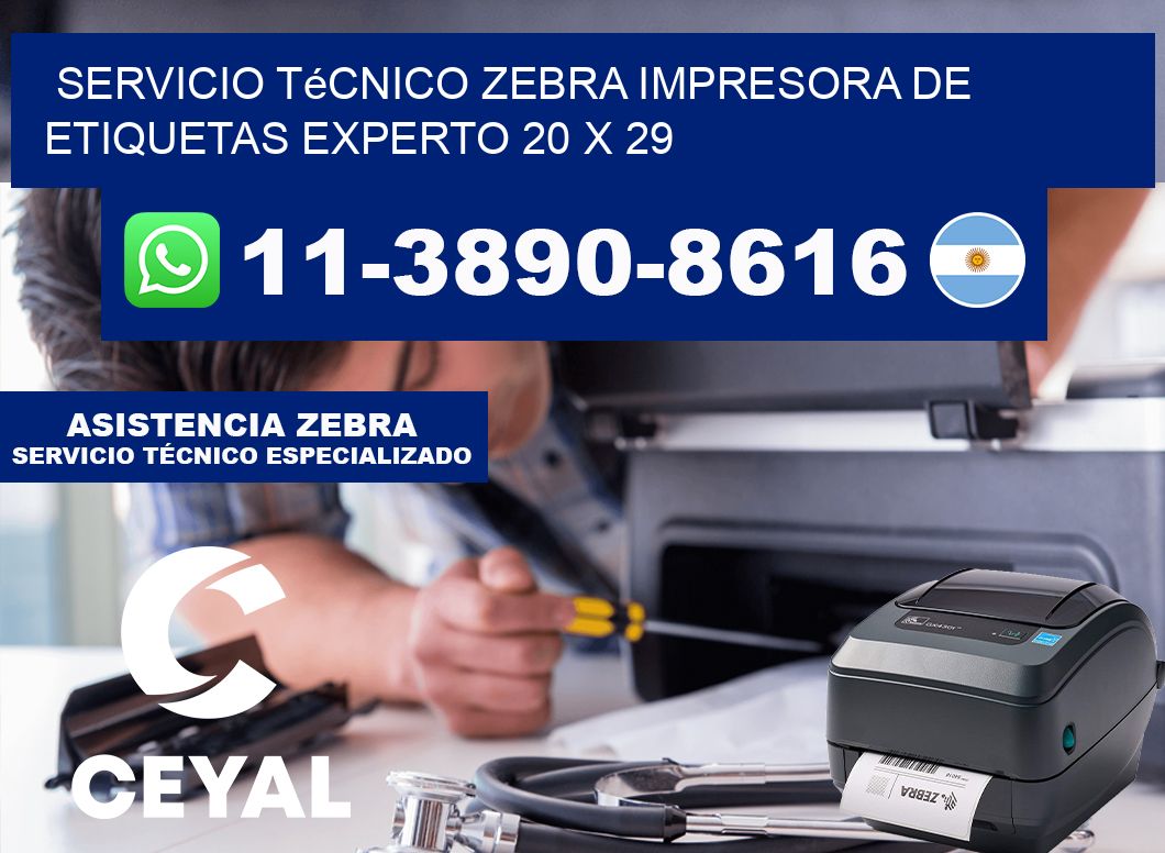Servicio Técnico Zebra Impresora de Etiquetas Experto 20 x 29