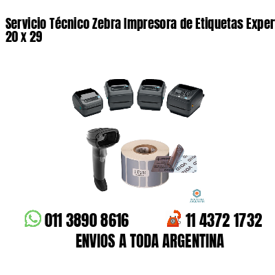 Servicio Técnico Zebra Impresora de Etiquetas Experto 20 x 29