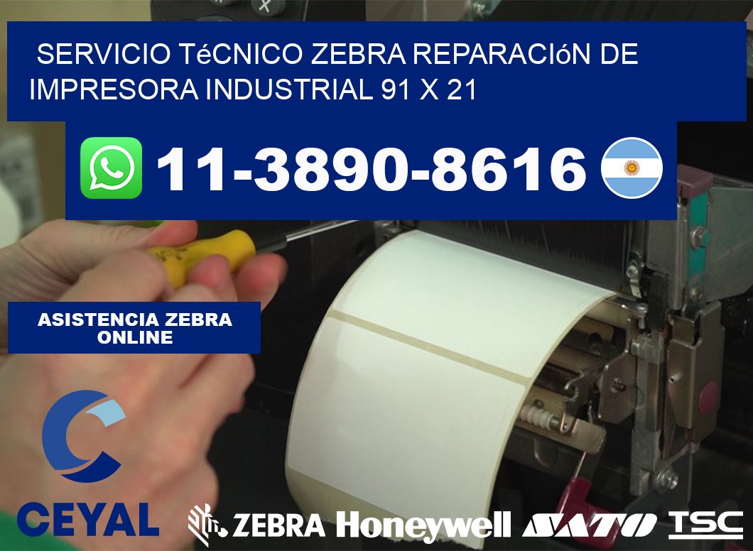 Servicio Técnico Zebra Reparación de Impresora Industrial 91 x 21