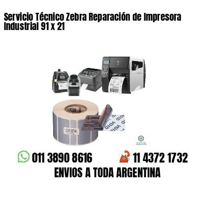 Servicio Técnico Zebra Reparación de Impresora Industrial 91 x 21