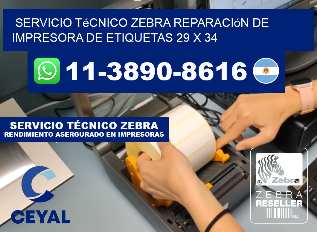 Servicio Técnico Zebra Reparación de Impresora de Etiquetas 29 x 34