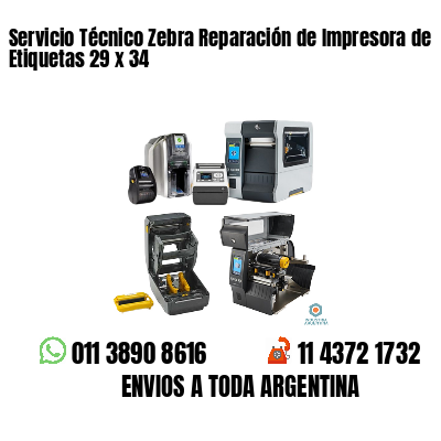 Servicio Técnico Zebra Reparación de Impresora de Etiquetas 29 x 34