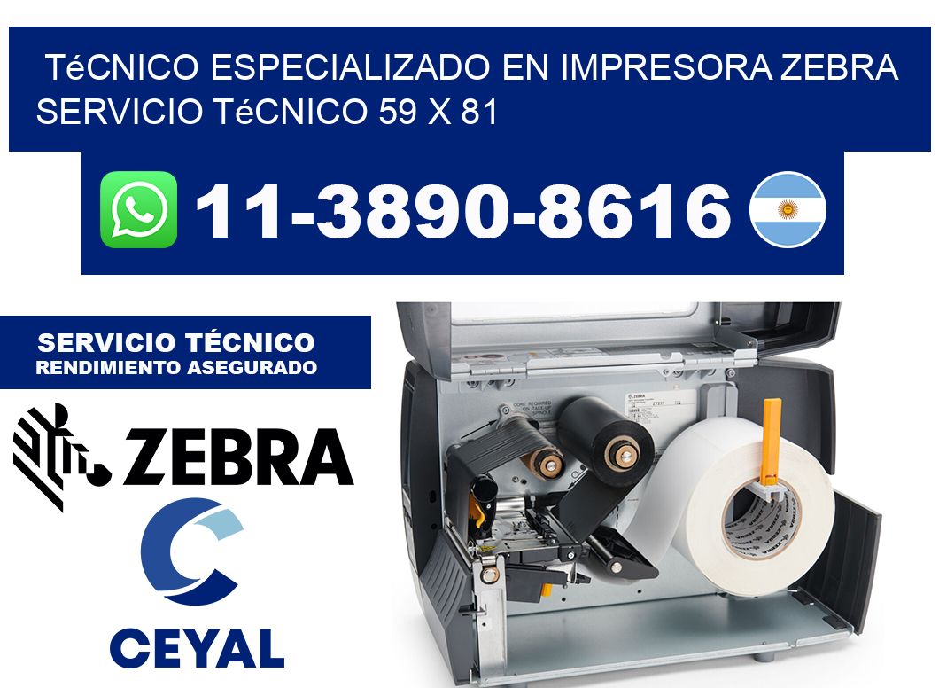 Técnico Especializado en Impresora Zebra Servicio Técnico 59 x 81