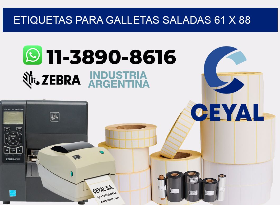 etiquetas para Galletas saladas 61 x 88