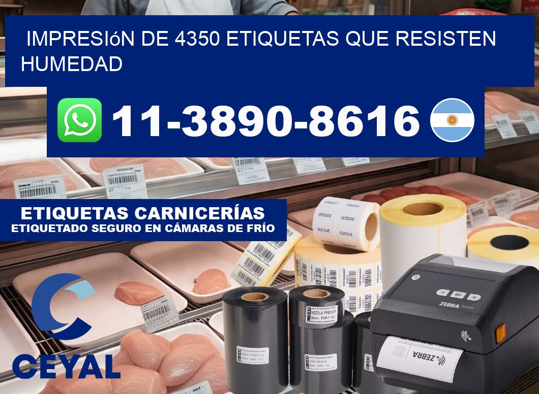 impresión de 4350 etiquetas que resisten humedad