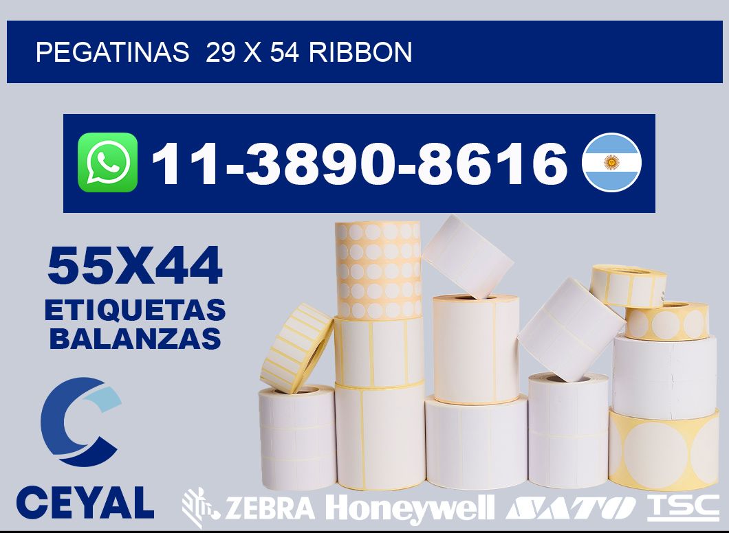 pegatinas  29 x 54 ribbon