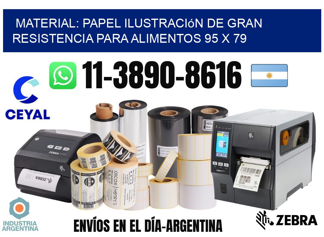 Material: papel ilustración de gran resistencia para alimentos 95 x 79