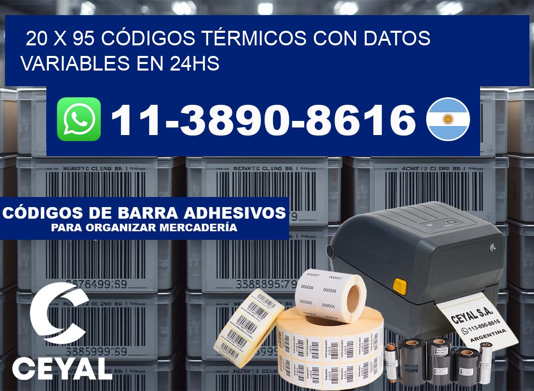 20 x 95 CÓDIGOS TÉRMICOS CON DATOS VARIABLES EN 24HS