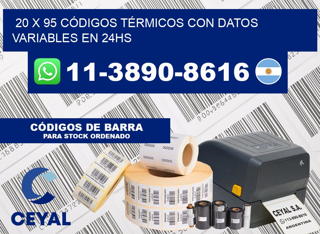 20 x 95 CÓDIGOS TÉRMICOS CON DATOS VARIABLES EN 24HS