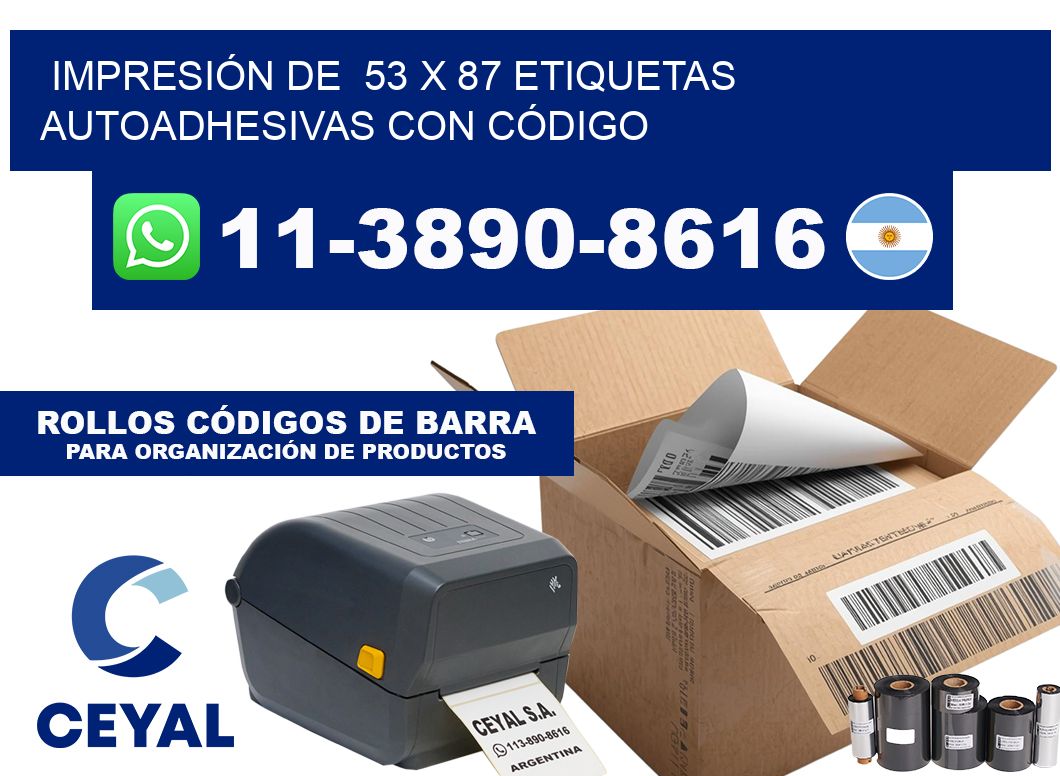 IMPRESIÓN DE  53 x 87 ETIQUETAS AUTOADHESIVAS CON CÓDIGO