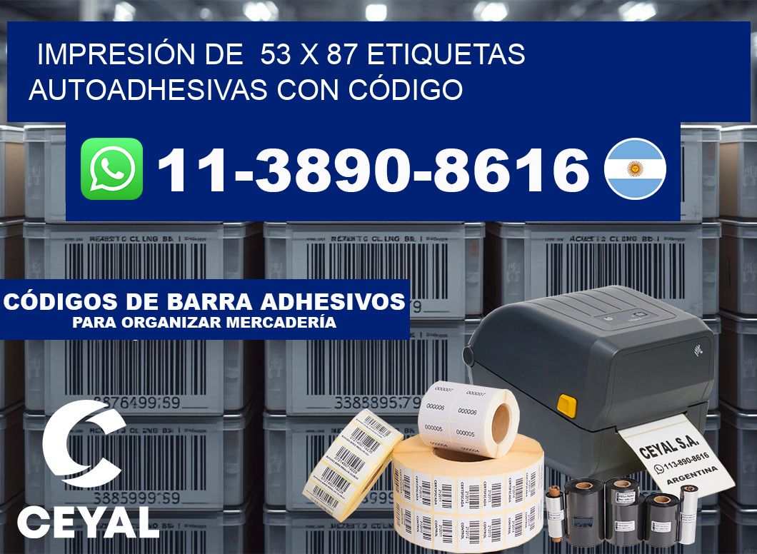 IMPRESIÓN DE  53 x 87 ETIQUETAS AUTOADHESIVAS CON CÓDIGO