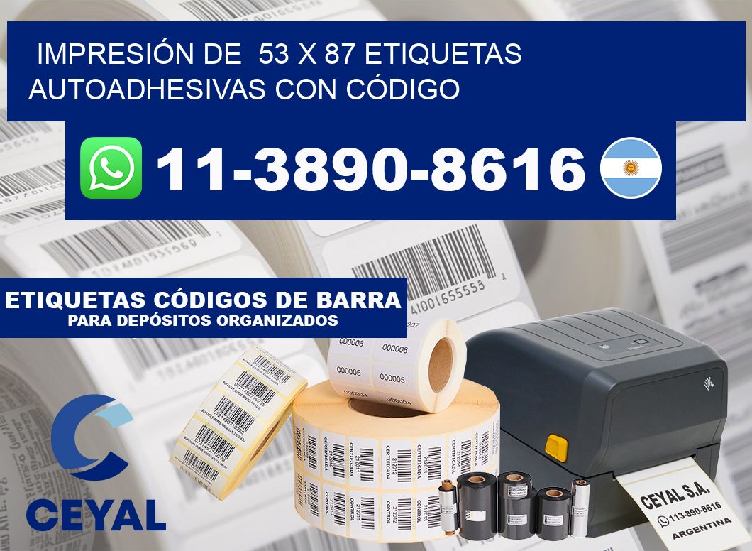 IMPRESIÓN DE  53 x 87 ETIQUETAS AUTOADHESIVAS CON CÓDIGO