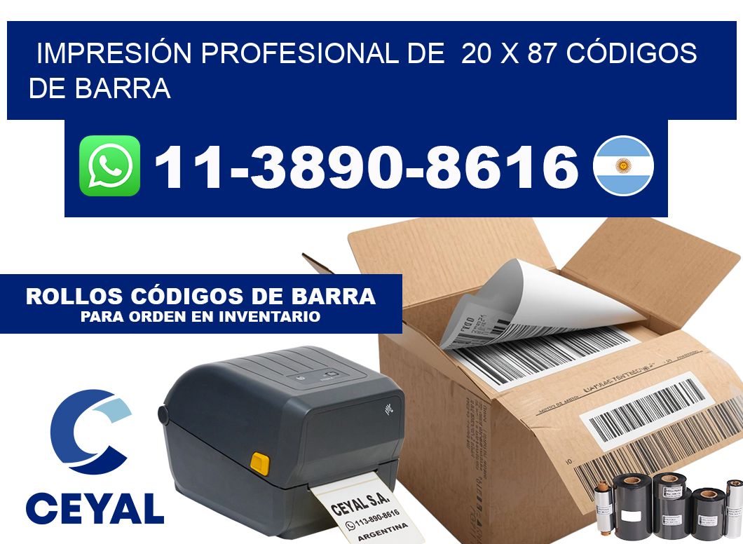 IMPRESIÓN PROFESIONAL DE  20 x 87 CÓDIGOS DE BARRA