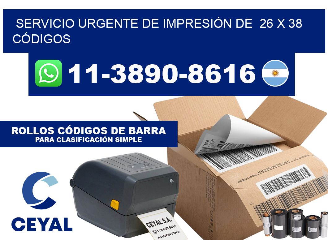 SERVICIO URGENTE DE IMPRESIÓN DE  26 x 38 CÓDIGOS