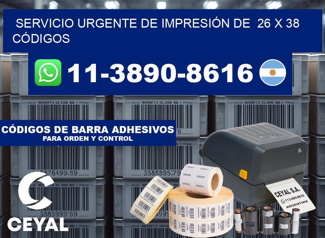 SERVICIO URGENTE DE IMPRESIÓN DE  26 x 38 CÓDIGOS