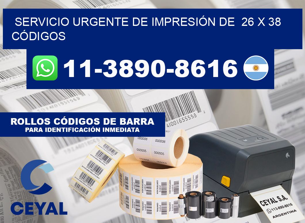 SERVICIO URGENTE DE IMPRESIÓN DE  26 x 38 CÓDIGOS