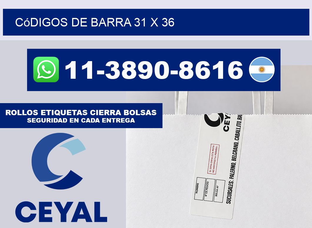 códigos de barra 31 x 36