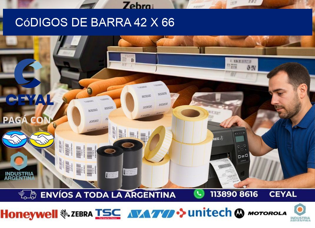 códigos de barra 42 x 66